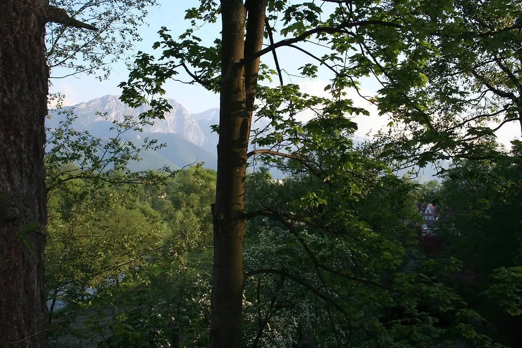 Apartament Cicha Woda Zakopane